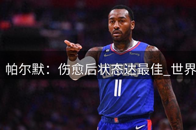 帕尔默：伤愈后状态达最佳 世界杯前曾带伤出战